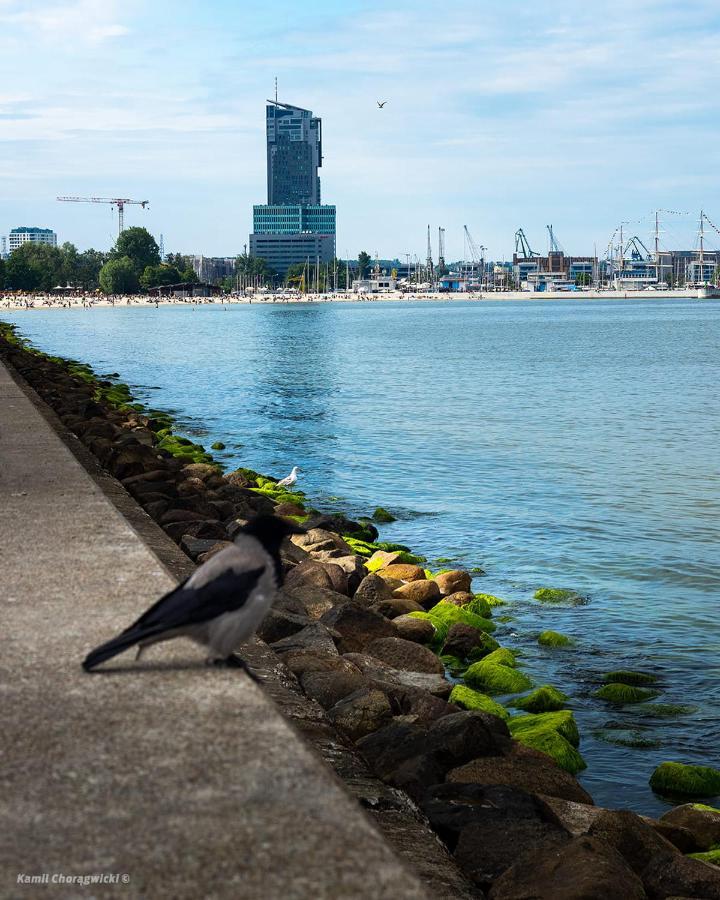 Apartament Osada Kormorana Gdynia Zewnętrze zdjęcie